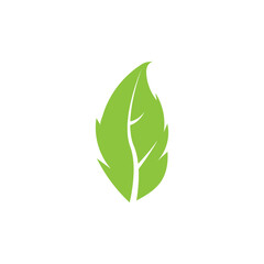 green leaf garden nature icon vector illustration template design