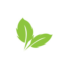 green leaf garden nature icon vector illustration template design