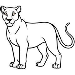 vector illustration of cartoon tiger