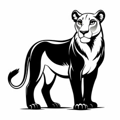 vector illustration of a tiger