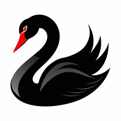 black swan vector illustration