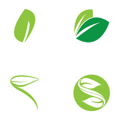 leaf nature icon vector illustration template design