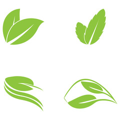 leaf nature icon vector illustration template design