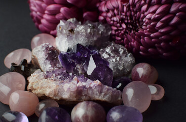 Real Amethyst and Rose Quartz Crystals on Burgundy Chrysanthemum Background. Healing Crystals....