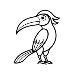 Hornbill Bird Line Art Drawing