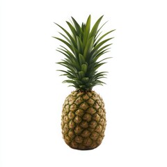 Fototapeta premium Whole single pineapple fruit isolated on white background