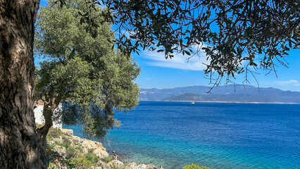 Turquoise Sea And Green Trees On Kastellorizo Island, Framed By Olive Branches, Peaceful Shoreline,...