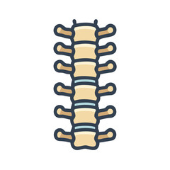 Human spine structure vector illustration on black background