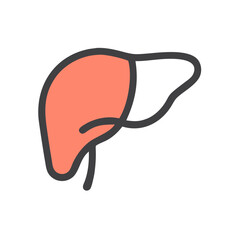 Human Liver Illustration for Health, Anatomy, and Medicine