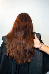 Naklejka premium Hairdresser holding long brunette hair before haircut