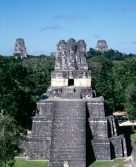 mayan ruins in Tikal, Guatemala