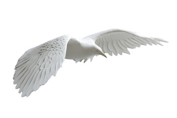 Obraz premium A majestic white bird in flight with outstretched wings perfect for nature wildlife and free