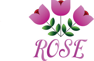 pink tulip flower vector illustration