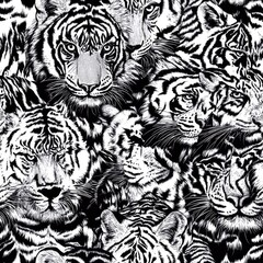 A Stunning Close-Up of a Cluster of Majestic Tigers in Monochrome, a Captivating Display of Wildlife Beauty