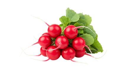 A group of fresh radishes with vibrant red skin and green leaves isolated on a black background scene