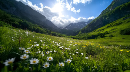 A picturesque mountain landscape with vibrant green alpine meadows, wildflowers, and a clear blue sky in the background.