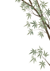 Fototapeta premium A wind chime with bamboo and metal components.. isolated on a transparent background