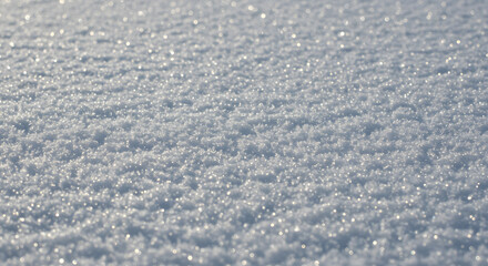 Obraz premium texture of snow on a sunny day