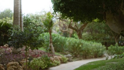 Lush tropical garden with defocused greenery and pathway in luxury resort featuring serene ambiance...