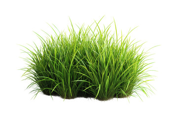 Lush green grass cluster nature scene plant life isolated on transparent background