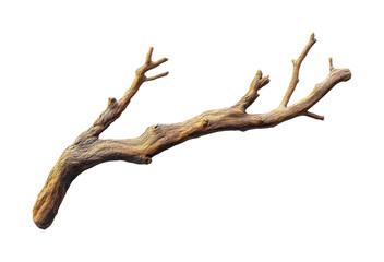 Nature's rustic charm fallen tree branch forest view isolated on transparent background