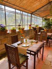 Interior of a wooden greenhouse with plants and flowers. vintage glass greenhouse with chair.