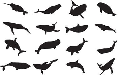 Set of 16 black silhouettes of whales