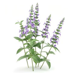 Fototapeta premium A cluster of vibrant purple flowers and greenery.