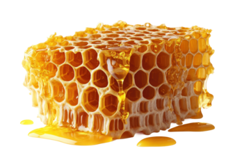 Harvesting honeycomb natural sweetness from beehives delicious food isolated on transparent background