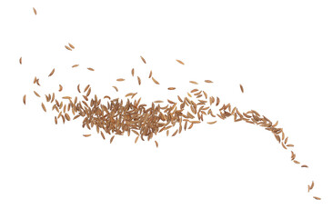 Cumin seeds flying, caraway grains scattered isolated on white, clipping
