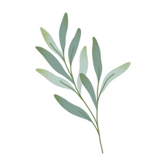 Isolated green branch with leaves vector.Botany emblem design element.Hand drawn floral spring or summer illustration for prints,flyers,banners,wedding,invitations,branding design,clipart.