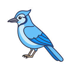 Illustration of a blue jay bird wildlife animal avian nature drawing vector graphic design art image
