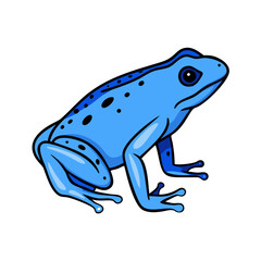 Illustration of a blue poison dart frog amphibian with black spots tropical rainforest animal