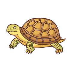 Illustration of a turtle tortoise reptile animal cartoon shell drawing wildlife nature design pet art
