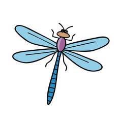 Illustration of dragonfly insect with wings, antenna, and body for nature and wildlife designs vector