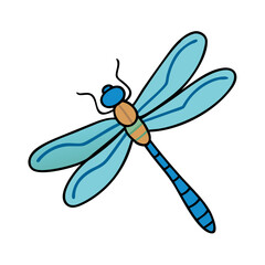 Illustration of a blue dragonfly insect with wings and body design vector graphic art image, nature