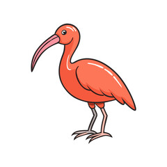 Scarlet ibis bird vector illustration, tropical bird, exotic bird, wildlife, nature, animal art