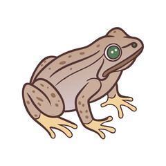 Illustration of a cartoon frog amphibian animal with brown skin and spots vector drawing art