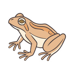 Illustration of a frog amphibian with green eyes vector drawing animal wildlife nature toad cartoon