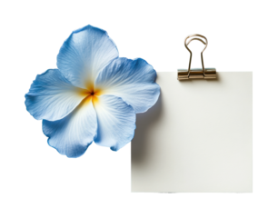 Delicate blue flower with blank note creative workspace minimalist design isolated on transparent background