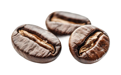 Obraz premium Brewing fresh coffee beans home kitchen food rustic isolated on transparent background