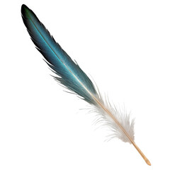 A blue feather quill pen with a gold-colored base, designed for calligraphy or vintage-style writing, displayed on a transparent background.