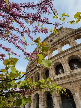 Colosseum in spring time, Rome, Italy. High quality photo