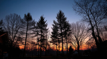 The silhouettes of evergreen and deciduous trees stand stark against the gradient sky du a tranquil twilight in the countryside, as the day descends to night.