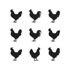 Set of realistic vector silhouettes of hens, chickens and cock isolated on white background