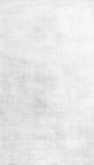 Light gray, textured, plain background