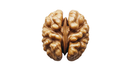 walnut food isolated on white transparent background