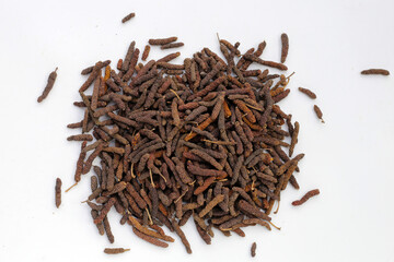 Dried long pepper or Indian long pepper