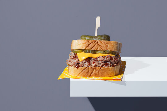 Trendy BBQ pulled pork sandwich with melted cheese