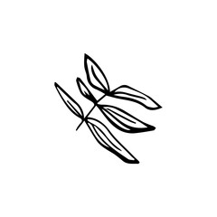Minimalist Line Art Flower. Elegant Botanical Outline Illustrations
